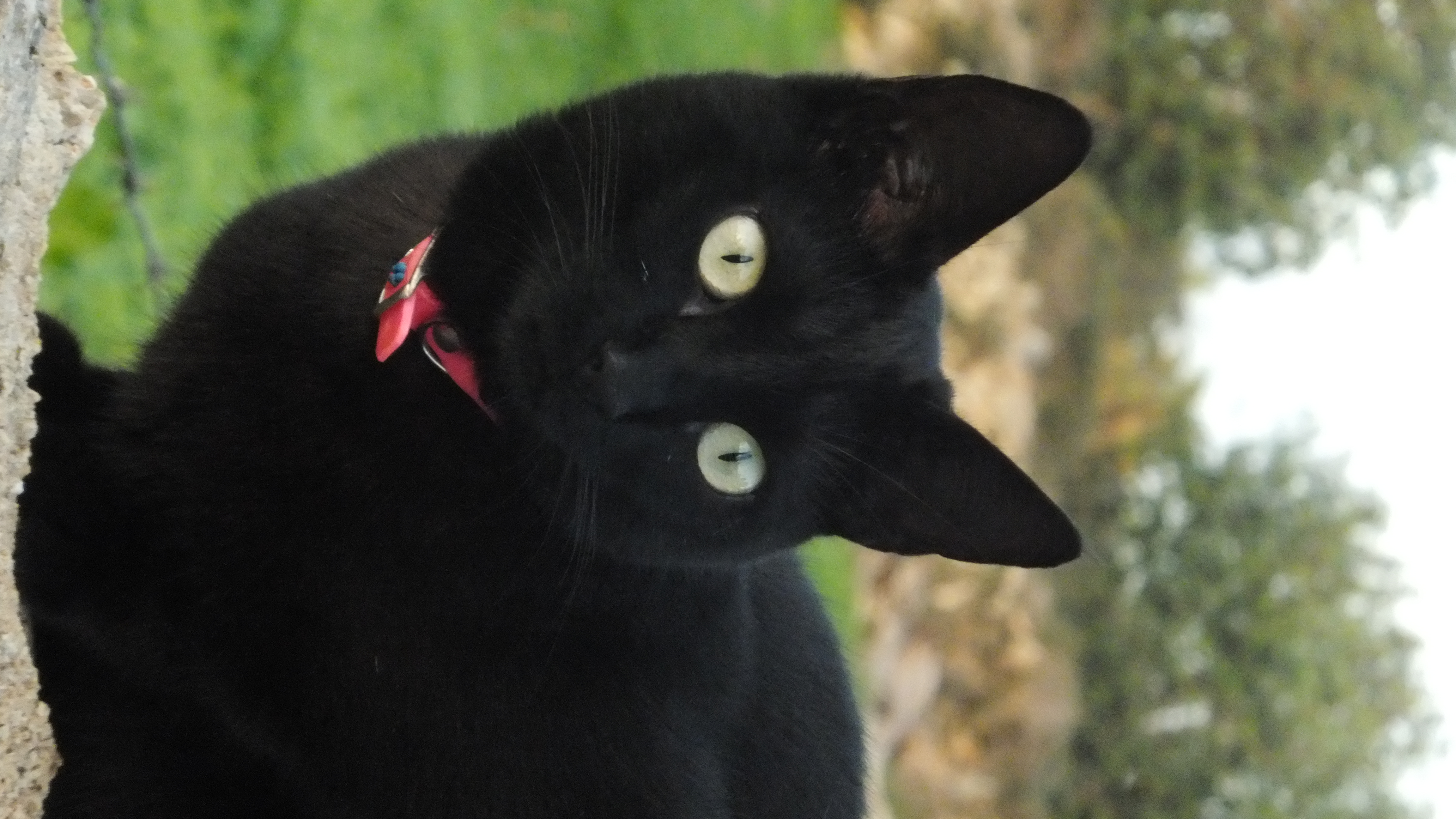 "Pensando en mi felicidad, me acordé de ti." #CaloEsMoro