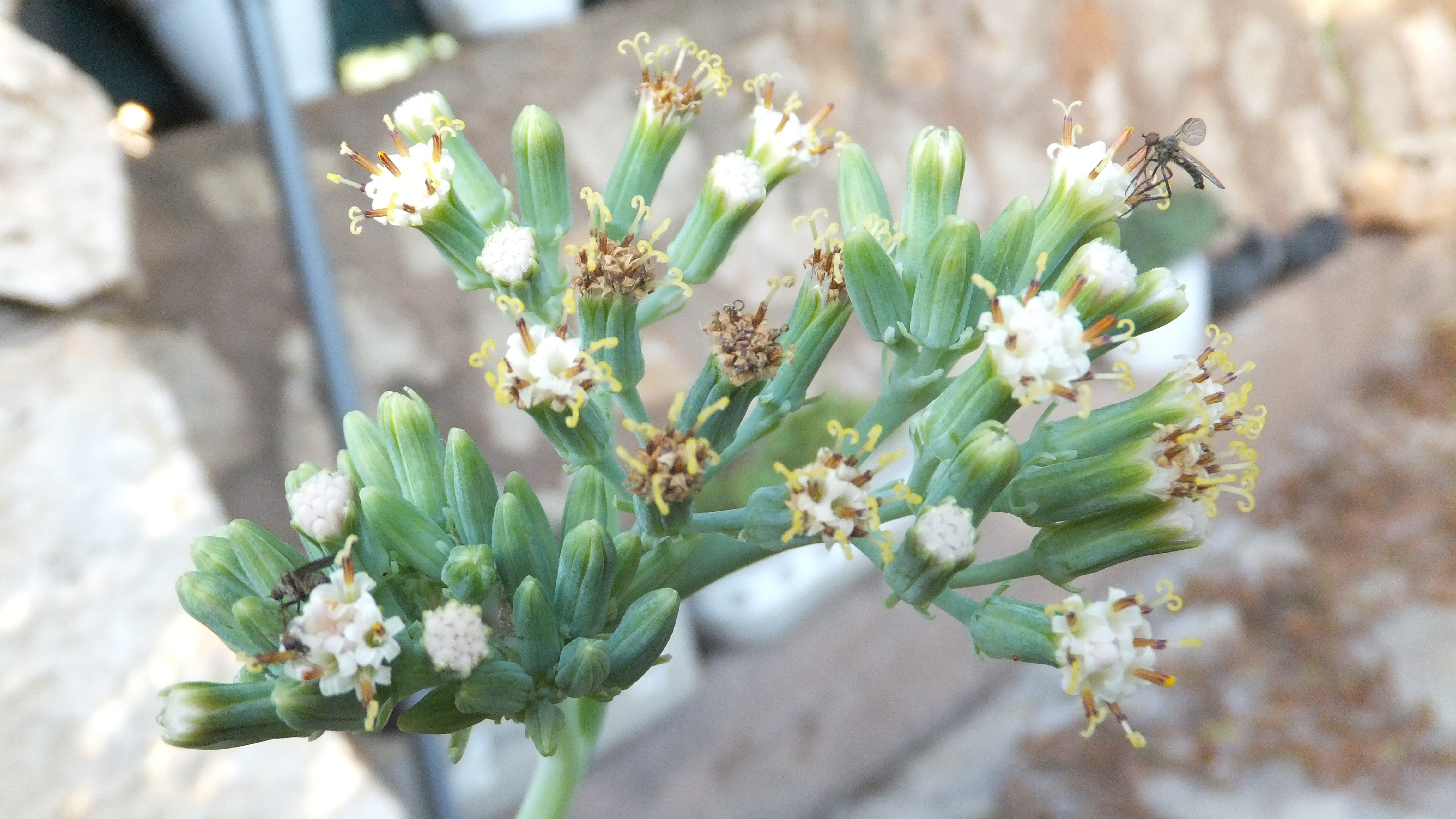 "La actitud lo es todo." #CalaDor