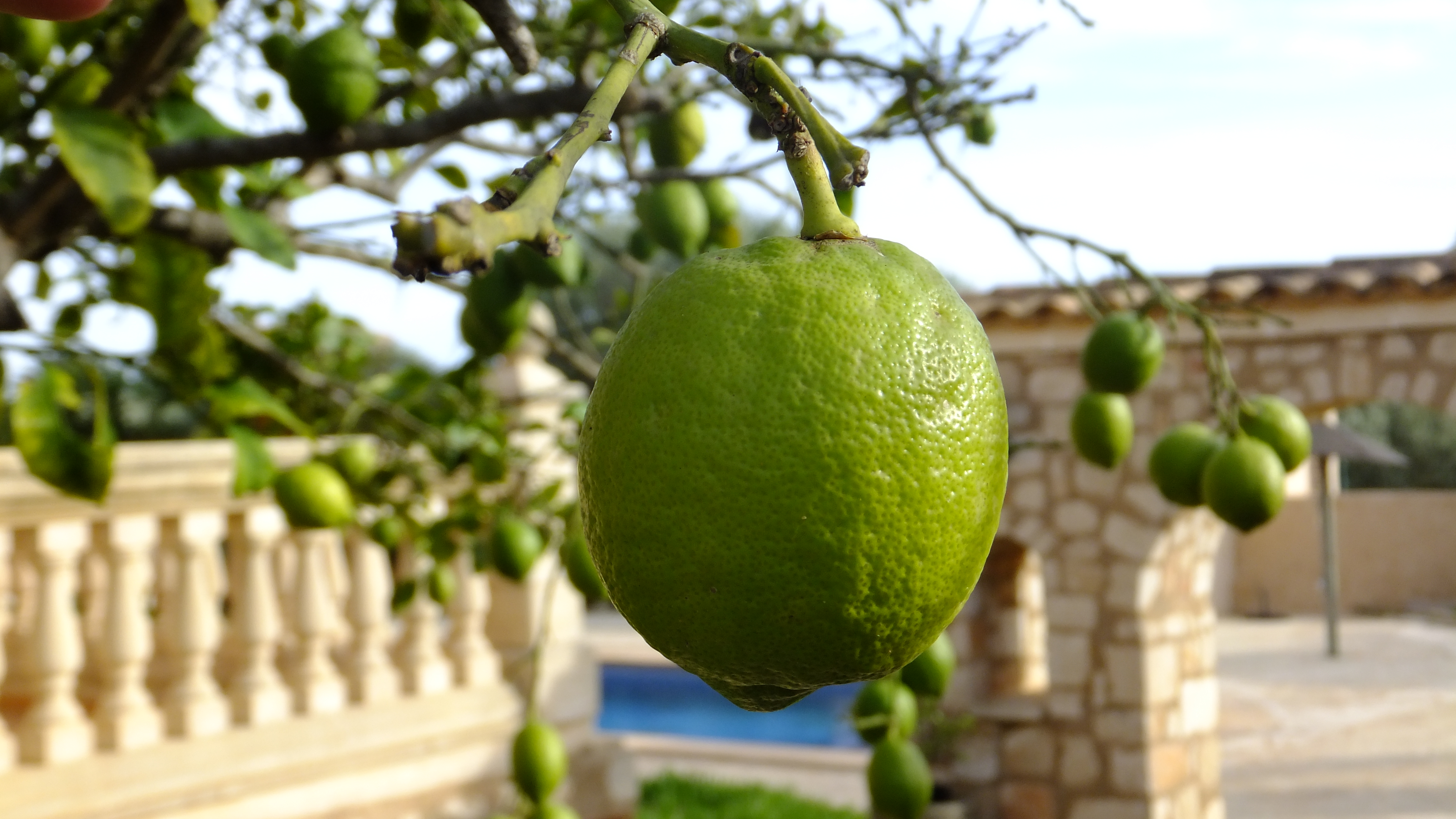 "Solo un pequeño pensamiento positivo por la mañana puede cambiar todo tu día". #CaloEsMoro